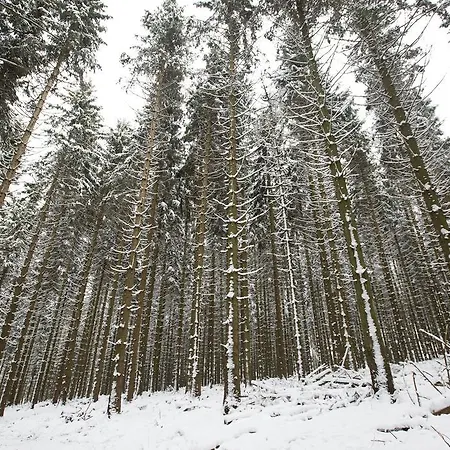 Hotel Zur Sonne Winterberg